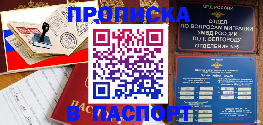 купить прописку в Щёкино